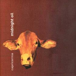 Midnight Oil : Capricornia